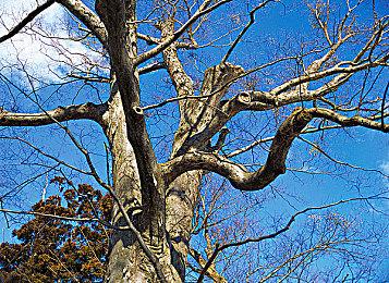 失眠组信心十足时 《漫威蜘蛛侠2》才会公布发售日期